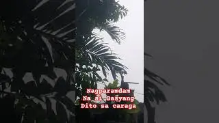 BasyangPH