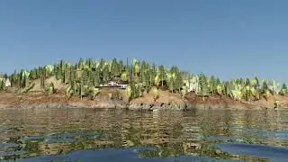 approach from roche 12 30 08