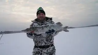 Talviverkoilla 3.1.2026