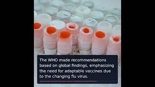 Global Scientists Unite to Create 2025 Flu Vaccine Composition