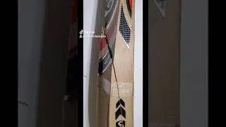 😱cricket bat spine damage 😱