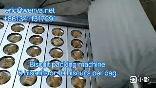 Packing machine for cocomo/kokomo biscuit/chocolate filled biscuit/hello panda biscuit/bear biscuit