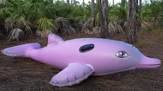 Pink Dolphin Ride-On Pool Float from Bestway