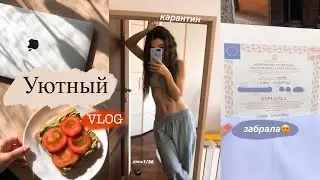 Что происходит в Италии || забрала мой ДИПЛОМ , мои планы на карантин | Уютный влог 🍂☕️