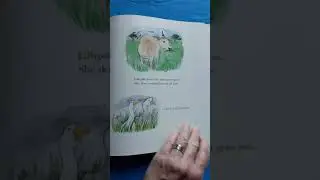 A Year On Our Farm