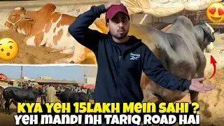 Malir Mandi Current Update Yeh Mandi Nahi, Tariq Road &mdash; 15 Lakh Mein Kya Yeh Deal Sahi?