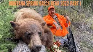 Montana Spring Black Bear Hunt 2022 | Part 1-Dads Bear