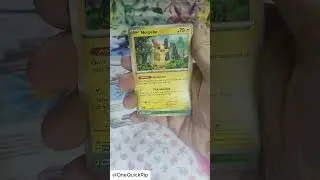 🎶Day 76 -- Cozy rips, comfy music, and nostalgia! #pokemoncards #asmr #relax #unboxing #pokemontcg
