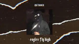 Eagles Fly High | Drill Type Beat 808