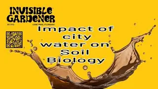 The Secret to Keeping Your Soil Alive by The Invisible Gardener