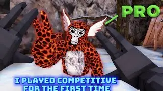 Playing competitive for the first time 