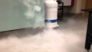 Liquid Nitrogen Demonstration