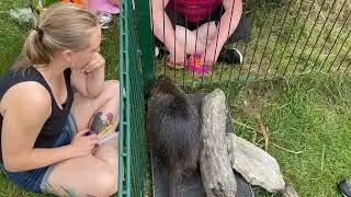 injection training with Egon the nutria