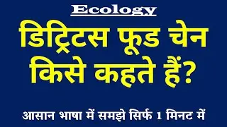 Detritus Food Chain (डिट्रिटस फूड चेन) किसे कहते हैं? | Grazing vs Detritus 🐛