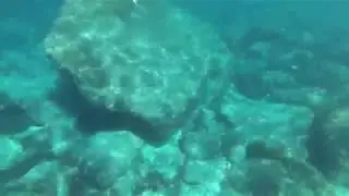 Test action cam 