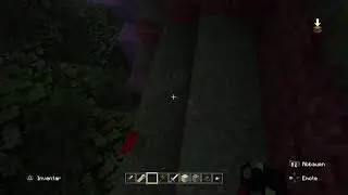 Wir spielen minecraft modplay
