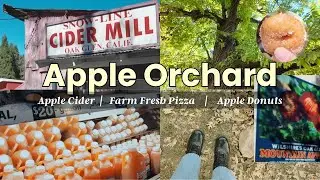 Cozy Apple Orchard | Apple Cider & Donuts | Aesthetic Fall Adventure