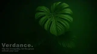 Verdance: Embrace the Forest's Serenity &ndash; Nature Sounds & Calm Music for Relaxation