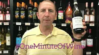 Sordo Barolo Gabutti | One Minute Of Wine Episode #866
