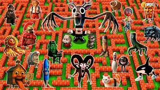 SURVIVAL in MAZE of ANOMALY ITALIAN BRAINROT 99 Nights in the Forest BUS IRENG - Minecraft Animation