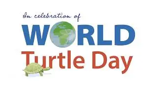 World Turtle Day 2019