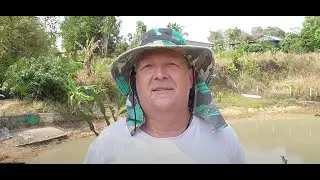 Thailand Ausgewandert. Schneckenfang im Teich.  Großvater Familie Rottweiler, alle im Teich.