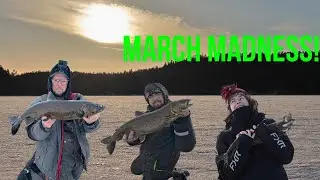 March Ice Fishing Madness! 🎣🔥 Wanapitei Lake Trout Action &ndash; Different Lakes, Different Colors!
