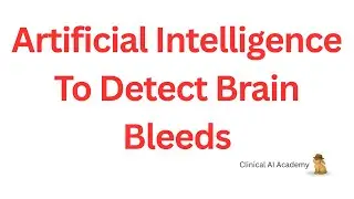 Let's Build Brain Bleeding AI Detector From Scratch
