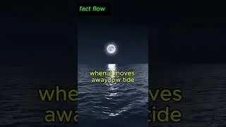 How the Moon Controls the Ocean Tides 🌊 Mind Blowing Science!