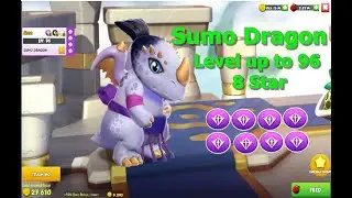Sumo Dragon Dragon Mania legends | 8 Star Legendary Sumo Level up to 96 | DML