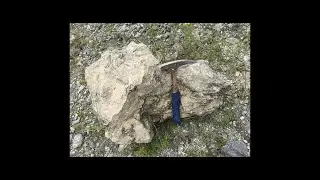Packstone under Microscope