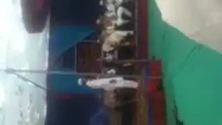 Taqrir on qayamat 1st prize winner
