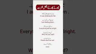 Everyday English Sentences for Daily Conversation #spokenenglish #englishlanguage #english #fyp