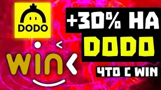 ПОДНЯЛ 30% на DODO | Что с монетой WIN? Инфа по криптовалюте, сигналы