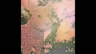 salv the dog - real estate dog (Full Album)