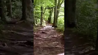 Я готова к новой главе в своей жизни.  