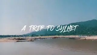 Shot On Walton ZX3 | A Trip To Sylhet | Ratargul | Bichnakandi | ATC