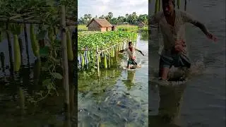 Wow! Amazing Polo Fishing Videos ! Best Big Fish Catching ! Primitive Technique fishing #fish #india