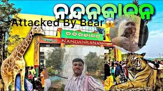 Attacked BY BEAR in NANDANKANAN || @ElvishYadavVlogs @munuvlogs2023  #trending #nandankanan