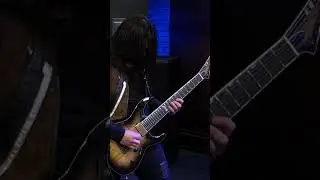 LUIS KALIL | INSIGHT (Guitar Playthrough)