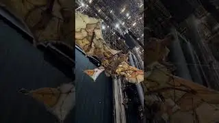 Behind the scenes at #KA 😎 | Cirque du Soleil