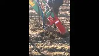 Complantation