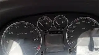 Peugeot 307 2009 Nafta... No arranca, alguien sabe que puede ser?