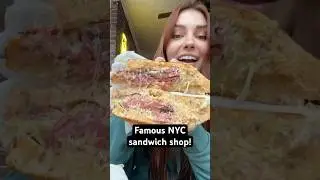 Everything I ate at the famous Edith&rsquo;s Sandwich Counter! #foodie #shorts #eating #nycfood #sandwich