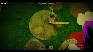 The Mimic Tries Speedrun Book 2 (Dead In Blind Witch Part)