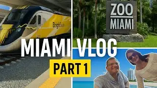 Brightline в Майами! Зоопарк Майами, тур по номеру отеля Continental и исследование Майами-Бич | ...