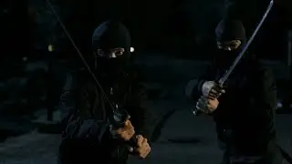 War-Rogue vs ninja`s