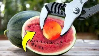 Viral Experiment | Glowing 1000 Degree METAL BALL vs WATERMELON |