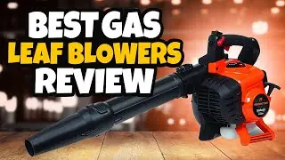 Top 5 Best Gas Leaf Blowers Review In 2022