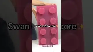 Des petits g&eacute;nies au final 😂 #swan #neo #shortsvideo